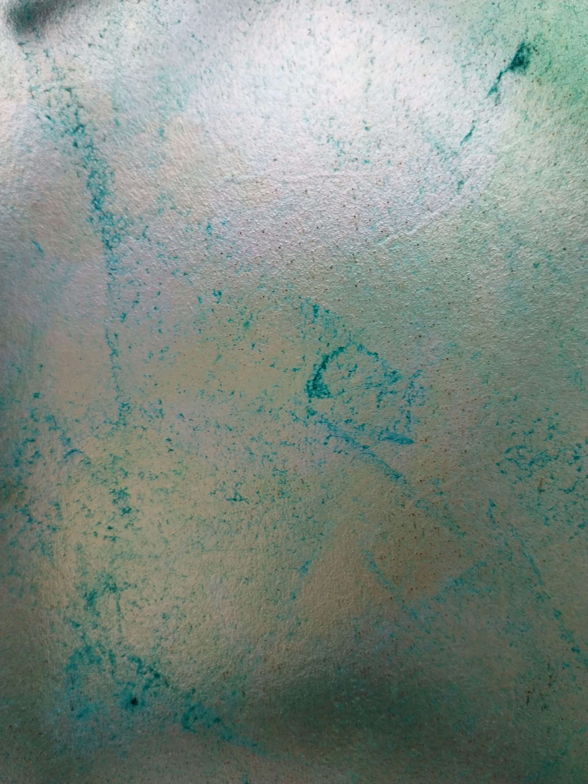 foto van Spirit van Haai - Tijgerhaai